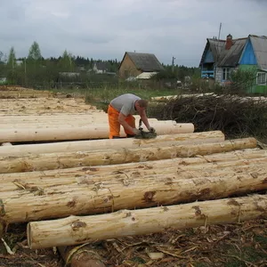 Требуются рабочие на деревообрабатывающее предприятие в России.