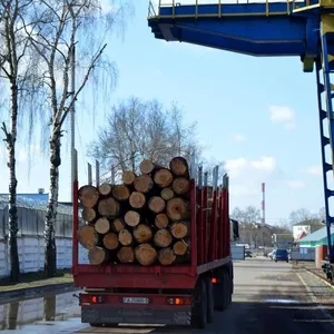 Аренда  сортиментовоза в Минске