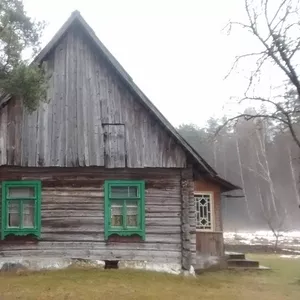 Куплю хутор,  дом в лесу (Жодишковский с/с,  Лылойтинский с/с)