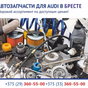 Автозапчасти для Audi (Ауди) в Бресте.