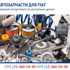 Автозапчасти в Гродно для Fiat (Фиат).