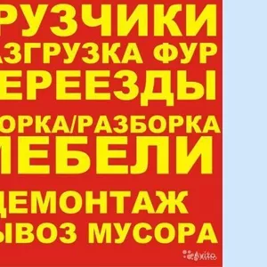 Грузчики в Минске