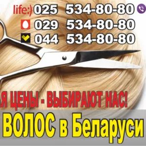 Скупка волос в Бресте. Высокие цены.