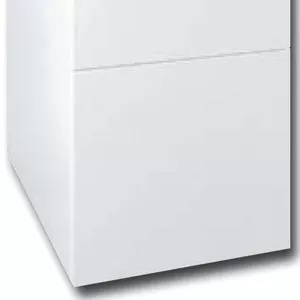 Газовый котел Protherm Медведь 30 KLZ