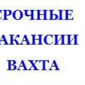 Требуются для работы все специалисты по монолиту вахтой