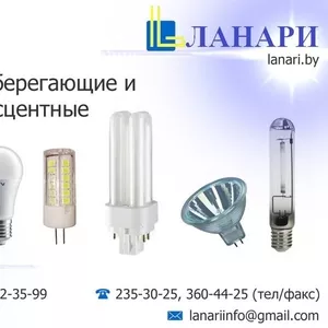 Лампы энергосберегающие и люминесцентные.