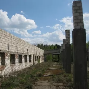 Производственно-складская База в д.Голынка