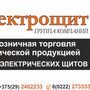 Оптовая и розничная торговля электротехнической продукцией.