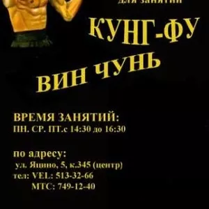 Вин Чунь Кунг фу